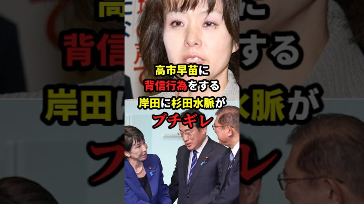 高市早苗に背信行為をする岸田に杉田水脈がブチギレ #海外の反応