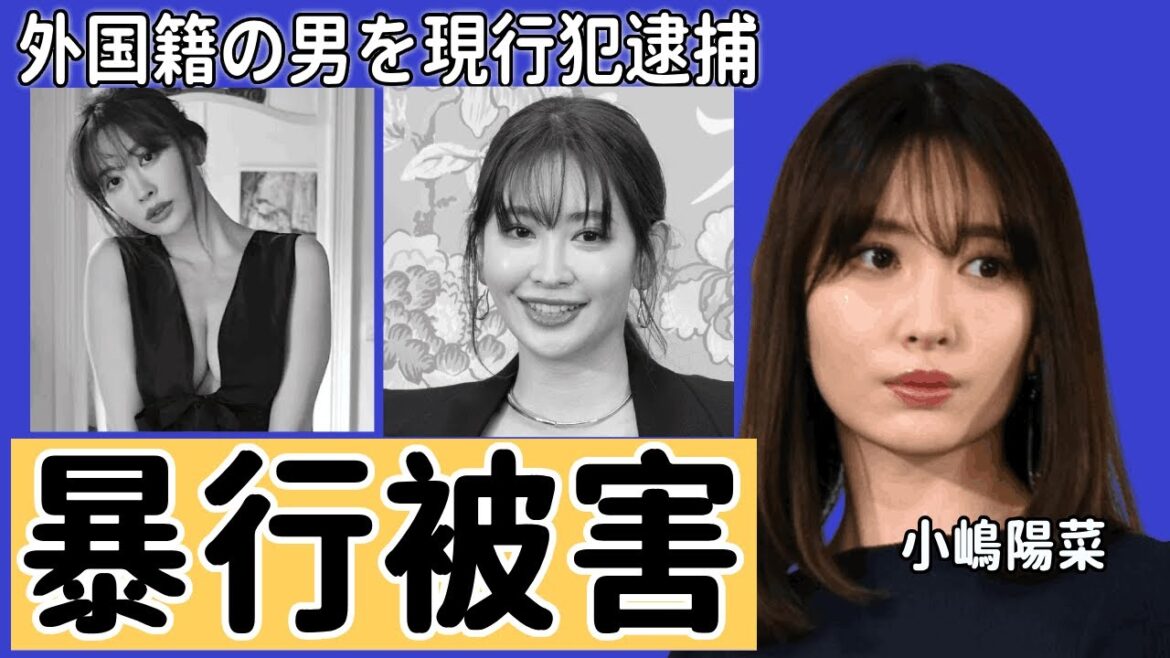イベント後の小嶋陽菜さんに暴行容疑...ファンからの心配の声…外国籍の男を現行犯逮捕