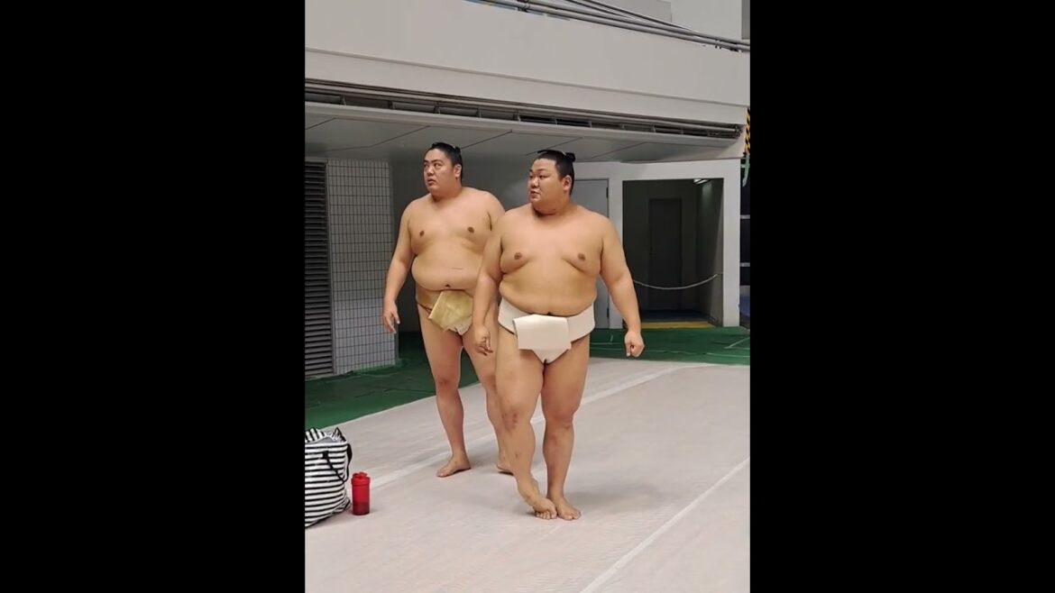 欲に負けました　#大相撲　#巡業　#一山本　#美ノ海