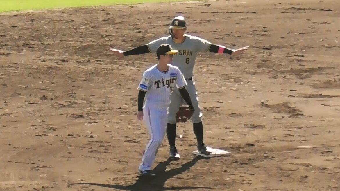 【サトテルニッコニコ】佐藤輝明さん、塁上でセーフポーズをして自身をセルフジャッジ【阪神秋季キャンプ】2024.11.3