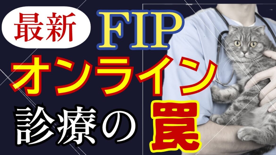 FIP治療オンライン診療はやめとけ！＠猫伝染性腹膜炎（FIP）治療の実際 2024年30本目オンライン診療