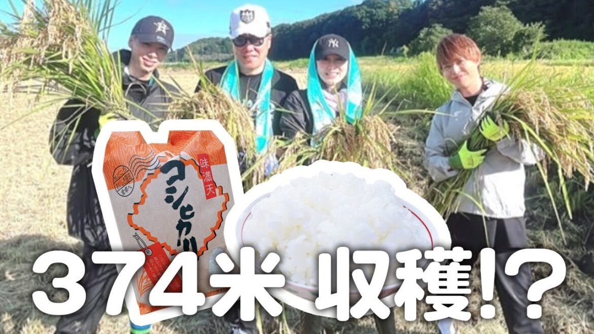 【新米を収穫！】農家さんで稲刈り体験をしてきました！