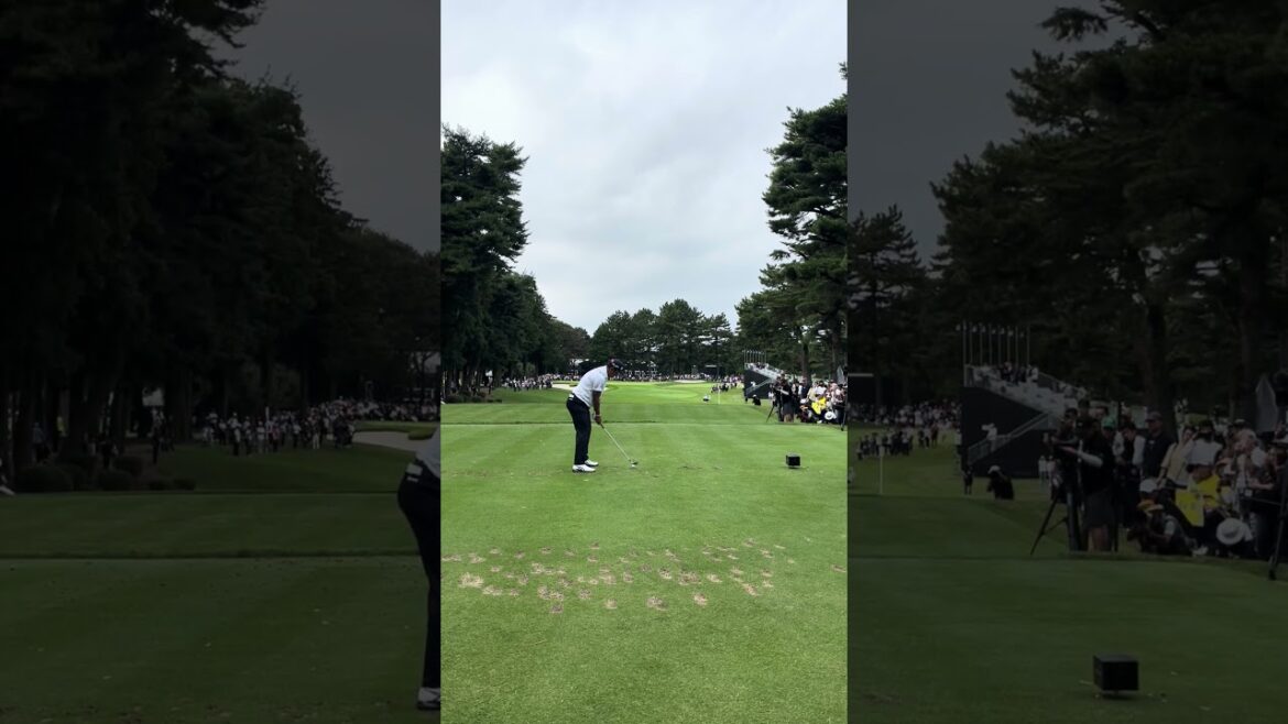 ZOZOチャンピオンシップ2024初日　松山英樹 ZOZO CHAMPIONSHIP2024 DAY1  Hideki Matsuyama#zozochampionship