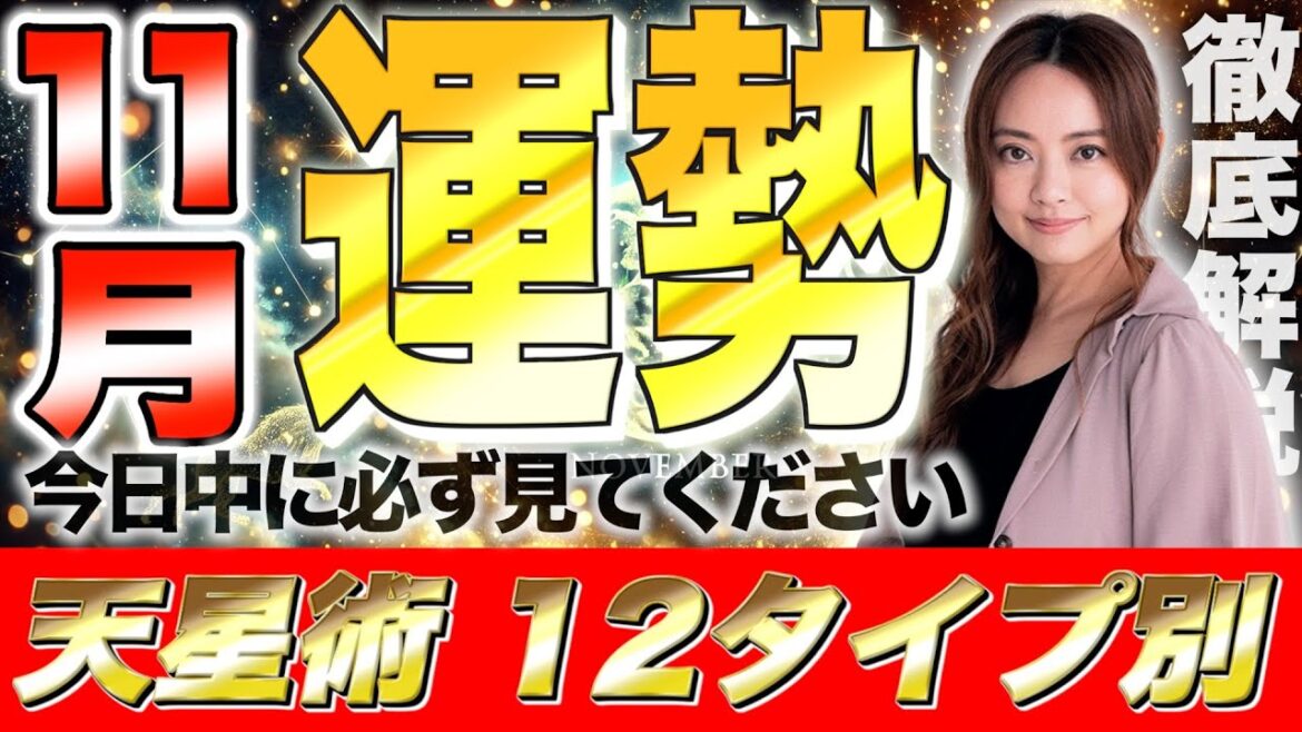 【星ひとみ】2024年11月の運勢を徹底解説！天星術占い12タイプ別！