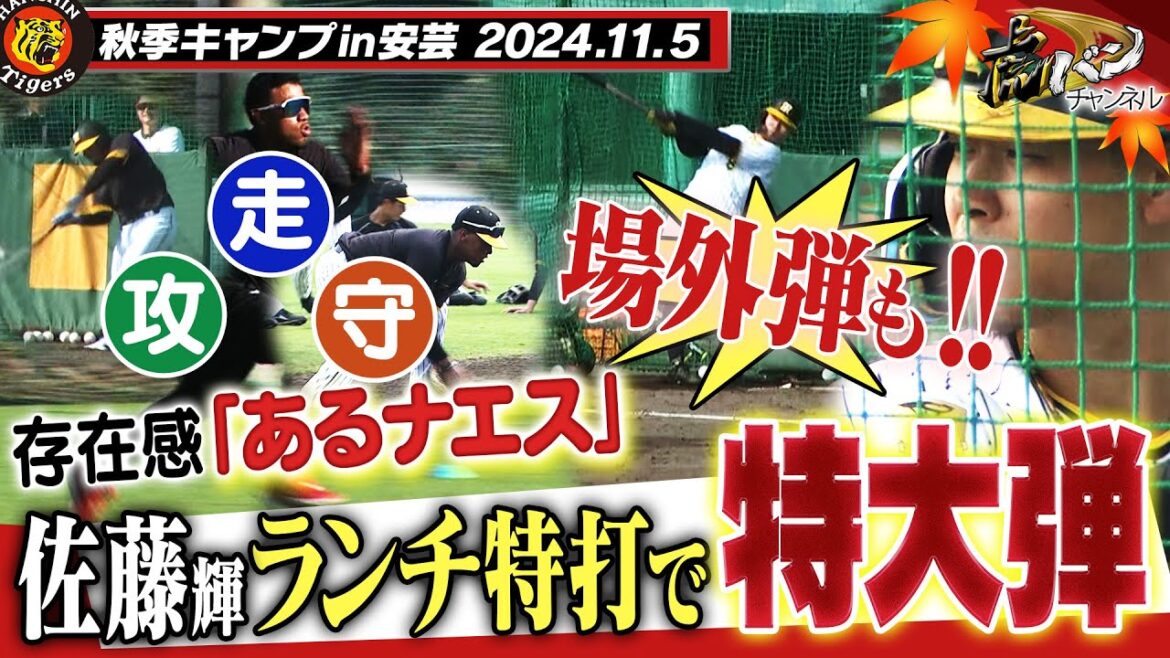 【11月5日秋季キャンプ】サトテルが今キャンプ初ランチ特打でサク越え連発！！新加入・アルナエスが走攻守に躍動！！ 阪神タイガース密着！応援番組「虎バン」ABCテレビ公式チャンネル