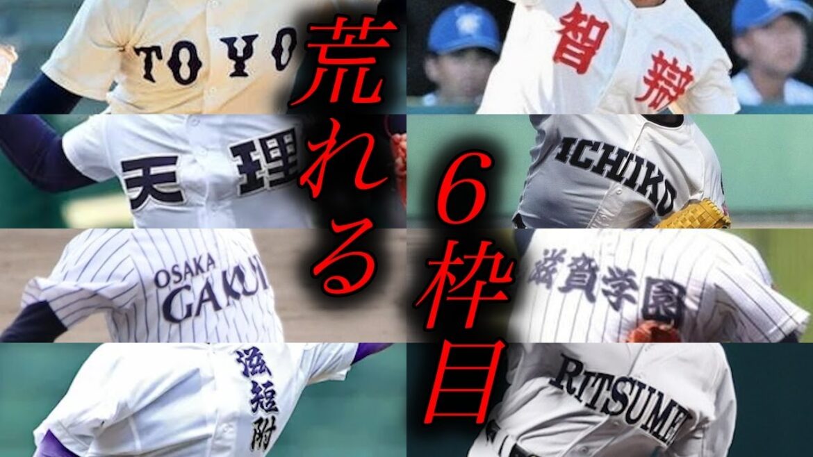 近畿の選考予想【第97回選抜高校野球】 #高校野球 #甲子園