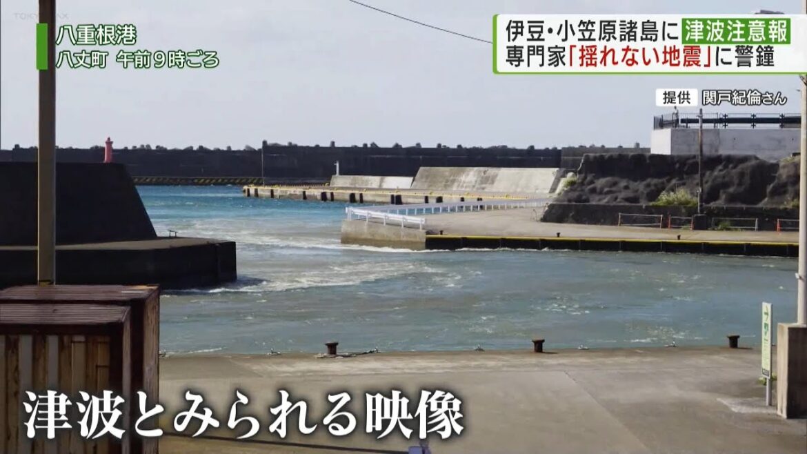 八丈島では50センチの津波観測　小笠原・伊豆諸島に一時津波注意報