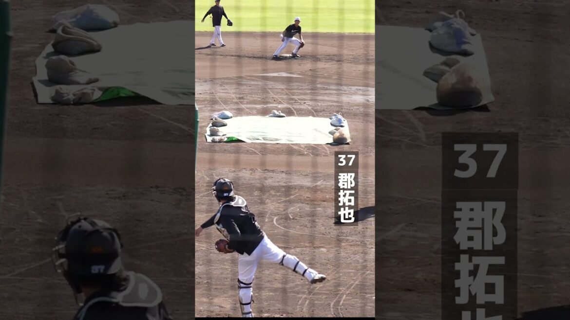 【巨人】山瀬慎之助選手が座り投げを披露　#shorts #baseball #sports #ジャイアンツ #巨人 #プロ野球