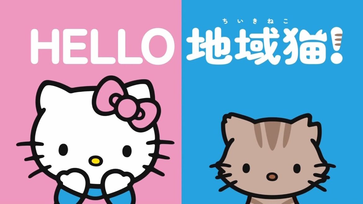 AC JAPAN 日本動物愛護協会 CM 「HELLO 地域猫！」篇 15秒