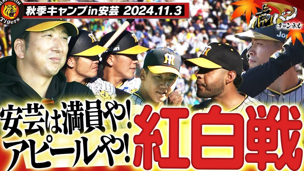 【11月3日秋季キャンプ】今日は紅白戦！主力から若虎まで藤川監督に火の玉アピール！満員の安芸で“没頭”の秋に！阪神タイガース密着！応援番組「虎バン」ABCテレビ公式チャンネル