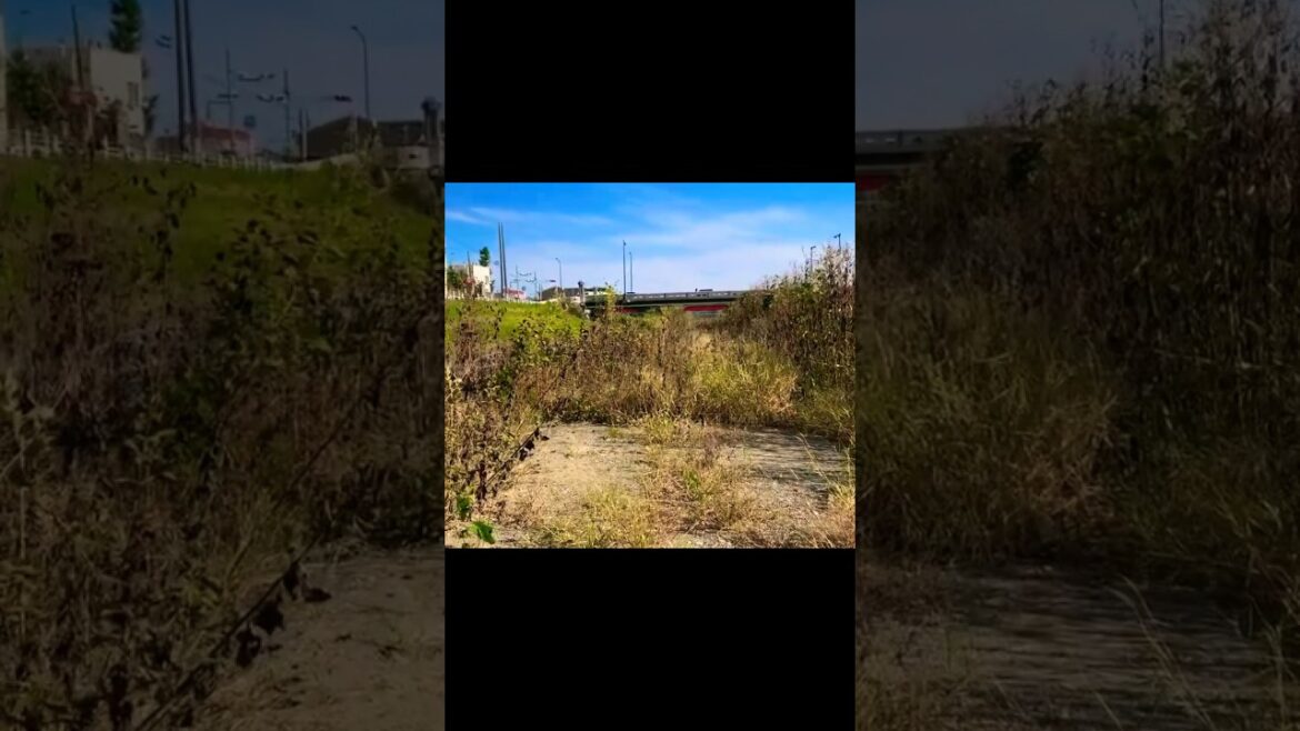 ⑨ 【台風7号直撃・浅川沿い注意】刑場の心霊スポット「大和田刑場跡」+「大和田橋」【お盆Uターン、交通機関に影響】【熱中症、新型コロナ、変異株KP.3、ゲリラ豪雨、地震注意】(東京都 八王子市) ⑨ 【台風7号直撃・浅川沿い注意】刑場の心霊スポット「大和田刑場跡」+「大和田橋」【お盆Uターン、交通機関に影響】【熱中症、新型コロナ、変異株KP.3、ゲリラ豪雨、地震注意】(東京都 八王子市)