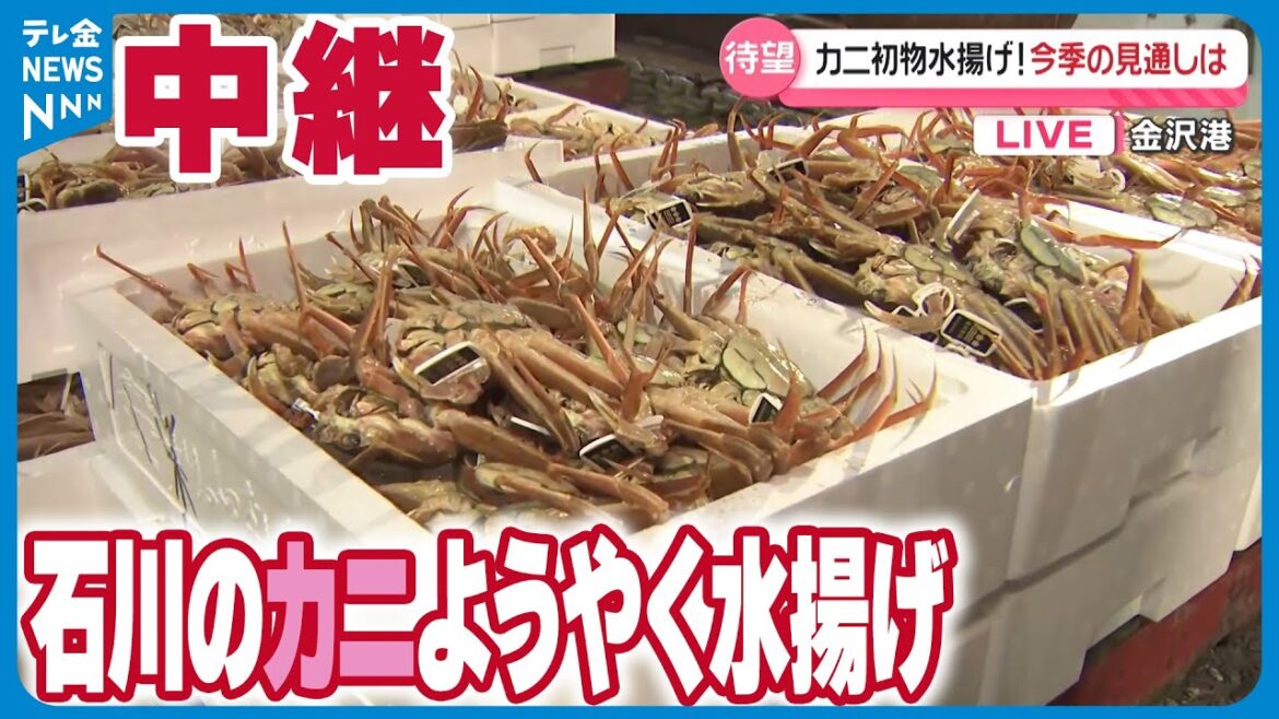 【中継】石川のカニようやく水揚げ　地震被害の輪島港でも10か月ぶりの本格操業