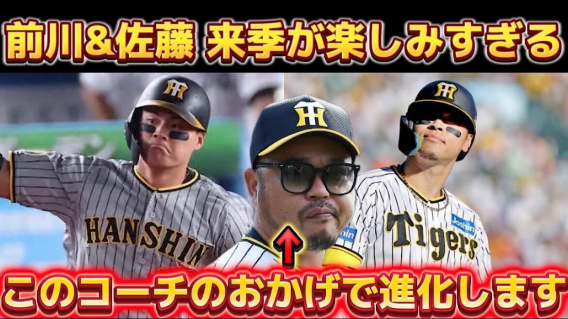 【前川&佐藤 覚醒の予感】 小谷野コーチが有能すぎてヤバすぎる件。 来季の打線が生まれ変わります。