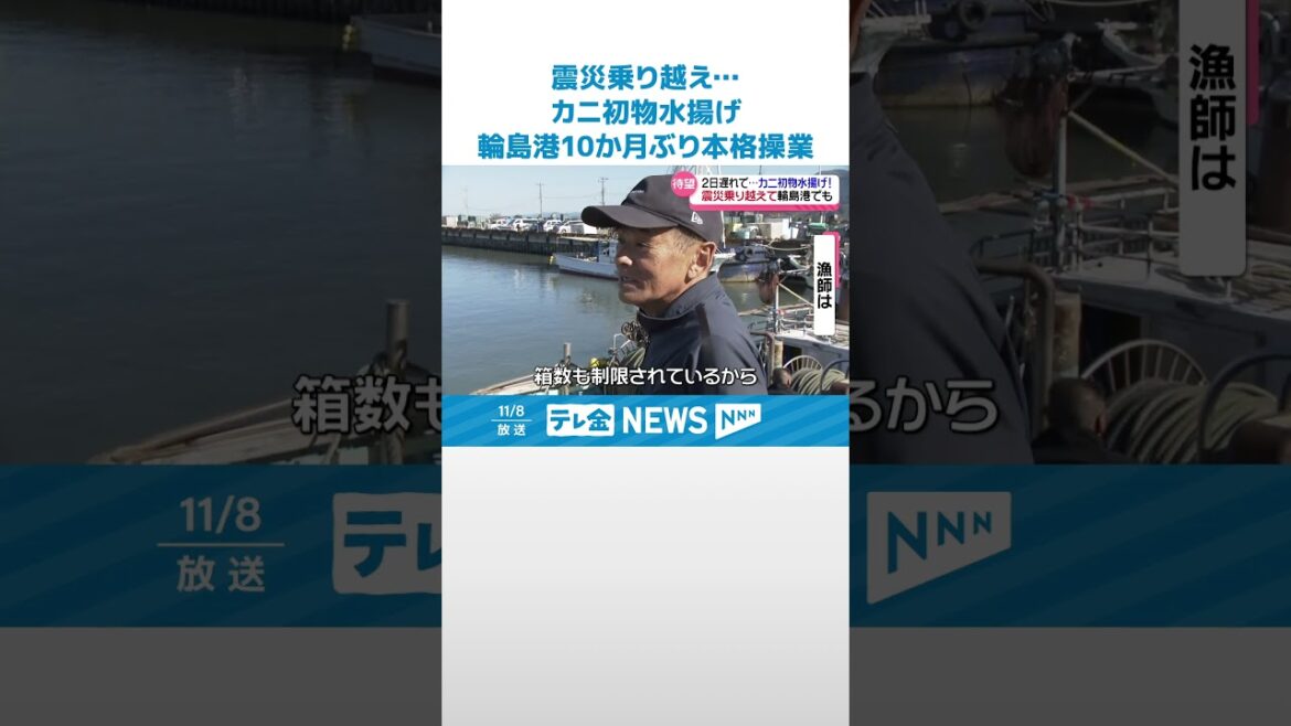 【石川のカニ】ようやく水揚げ　地震被害の輪島港でも10か月ぶりの本格操業 #shorts