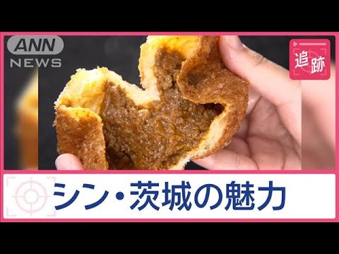 魅力度最下位“常連”イバラキの底力 外国人も夢中 行列できる“パンの街”とは?【Jの追跡】【スーパーJチャンネル】(2024年11月9日) 魅力度最下位“常連”イバラキの底力 外国人も夢中 行列できる“パンの街”とは?【Jの追跡】【スーパーJチャンネル】(2024年11月9日)