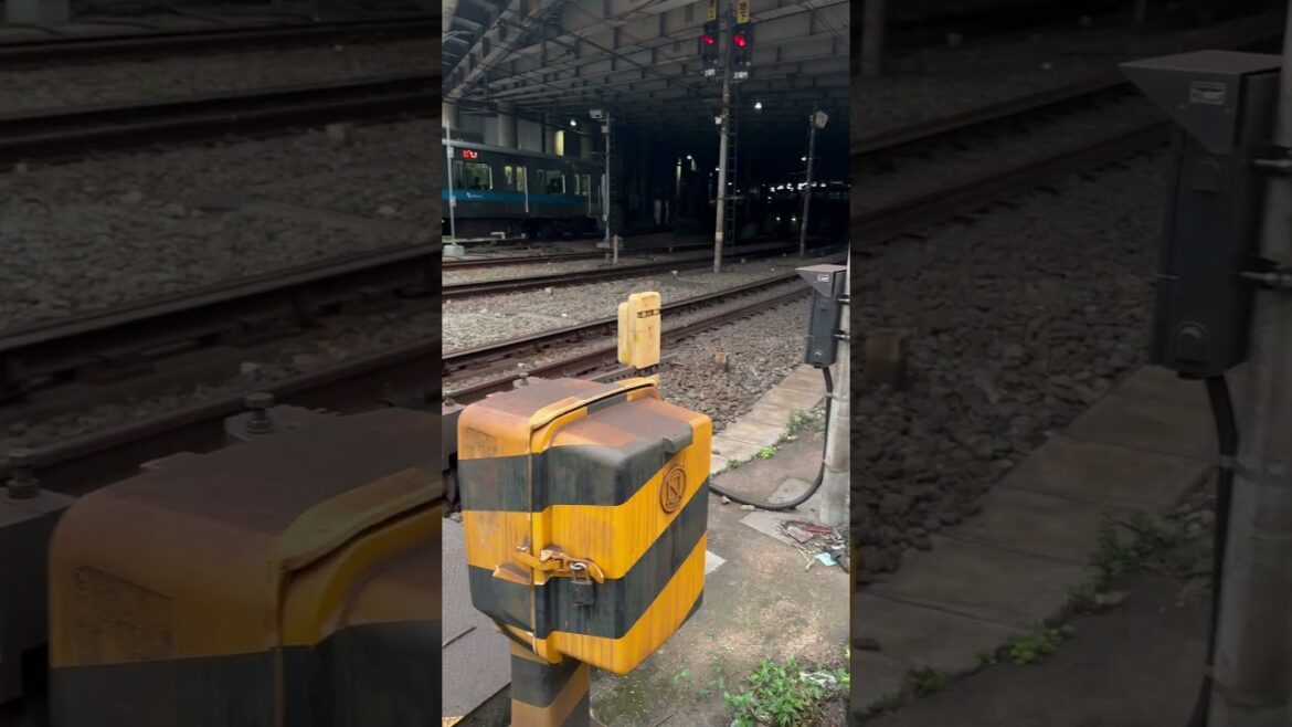 小田急線　新宿駅　踏切 #電車 #train #小田急線