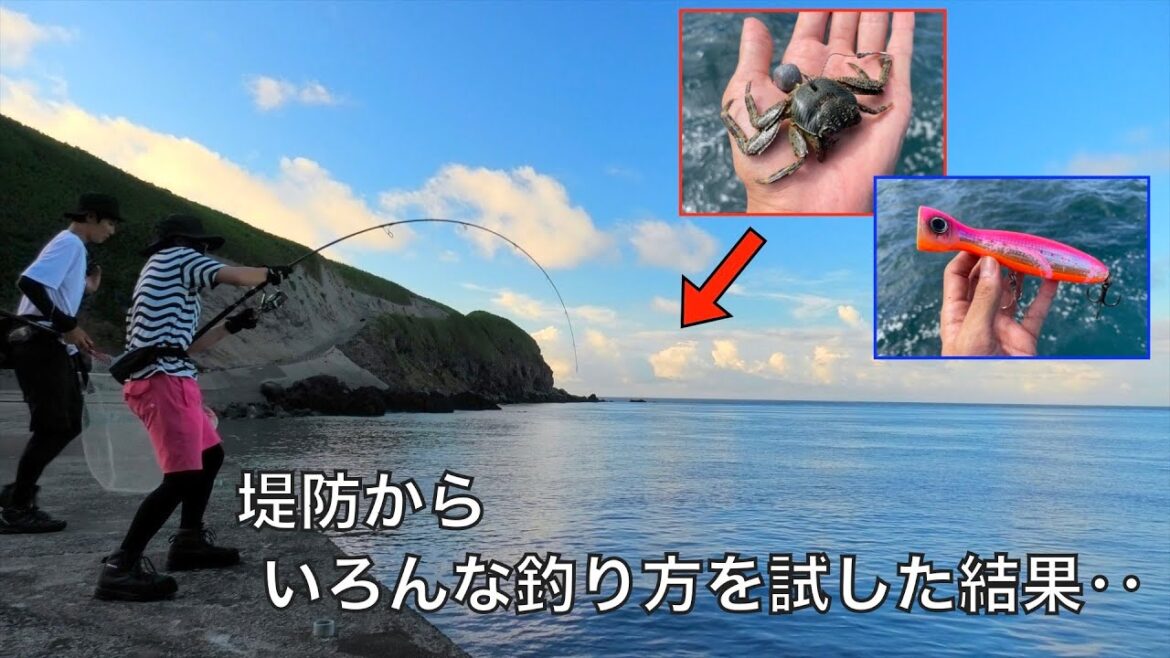 堤防釣りで、滅多に出会えない激レア高級魚を釣り上げた！