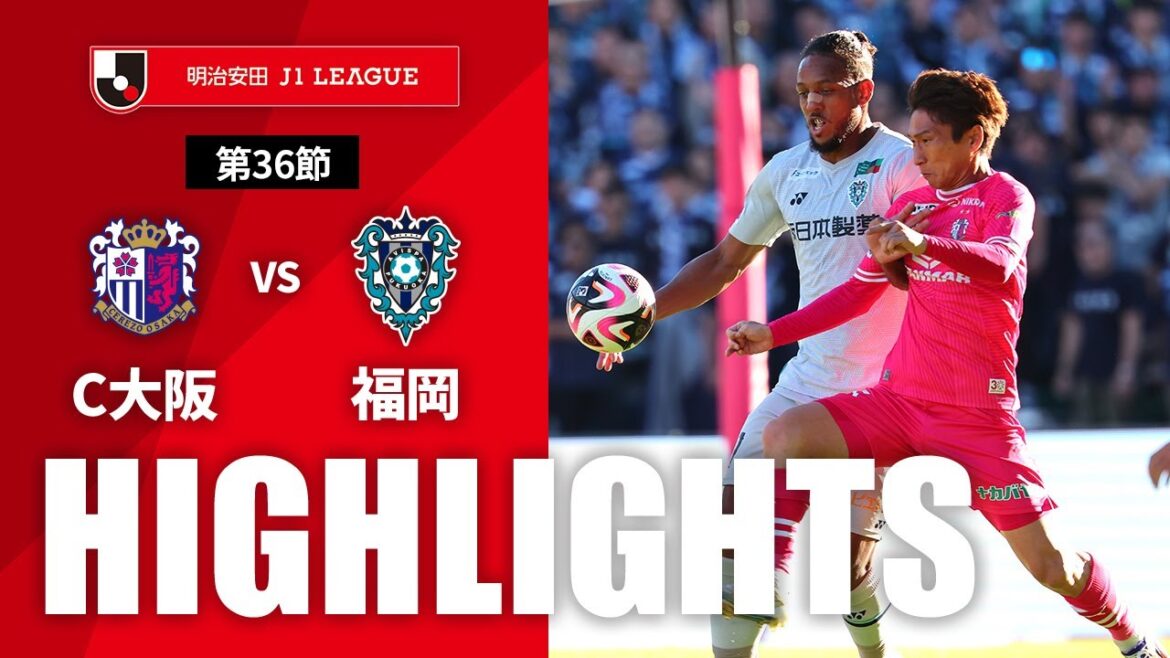 【公式】ハイライト：セレッソ大阪vsアビスパ福岡 明治安田Ｊ１リーグ 第36節 2024/11/9