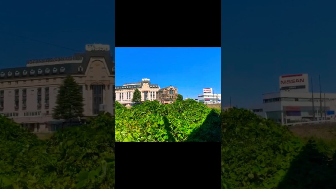 ① 【台風10号直撃・浅川沿い注意】獄門の心霊スポット「大和田刑場跡」周辺にあるもの…【史上最強クラス・交通機関に影響】【熱中症、新型コロナ、変異株KP.3、ゲリラ豪雨、地震注意】（東京都 八王子市）