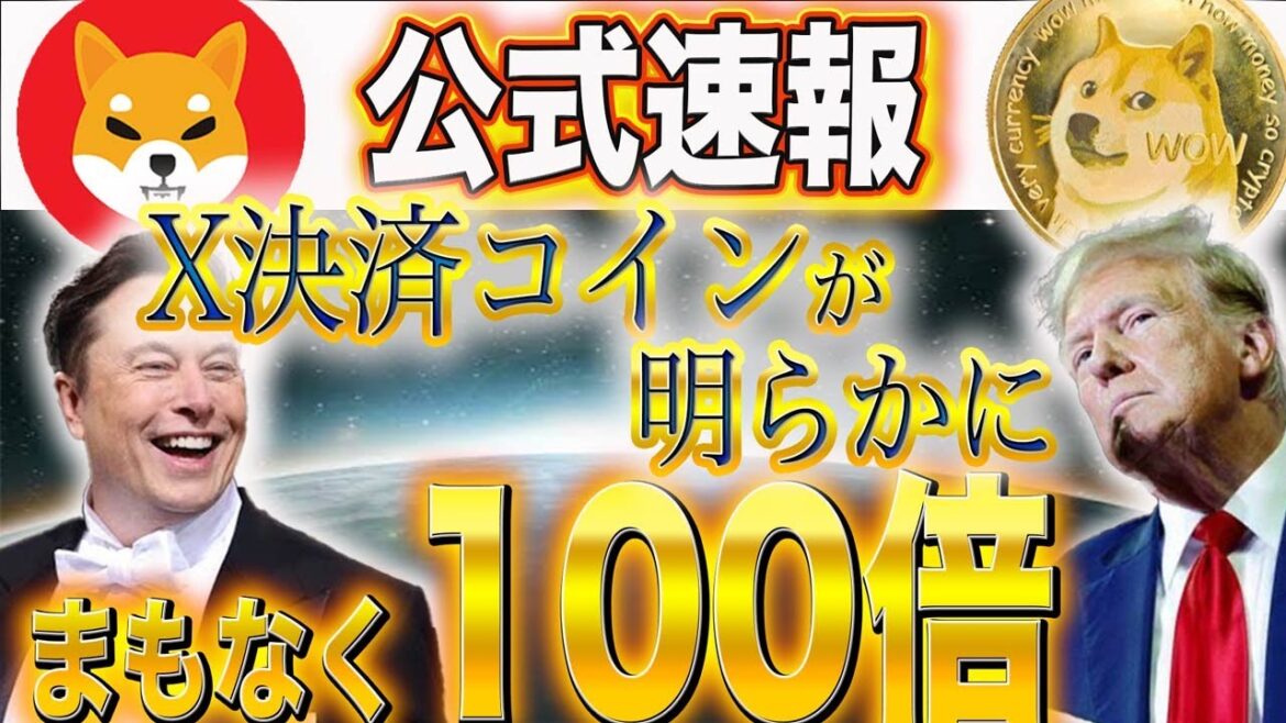 ※重大速報※【X決済通貨が明らかに！】イーロン×トランプで即100倍#doge  #web3  #caw  #nft  #仮想通貨  #shib  #crypto  #暗号資産  #xrp