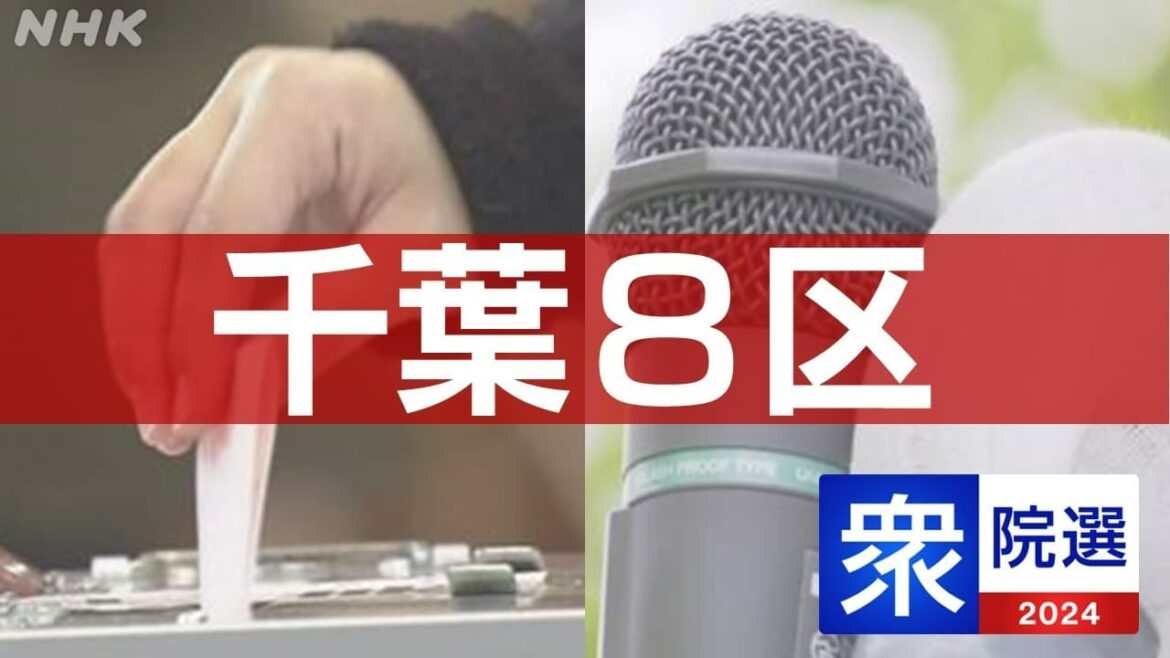 衆議院選挙 柏市 立候補者は 開票結果の速報も [千葉8区]