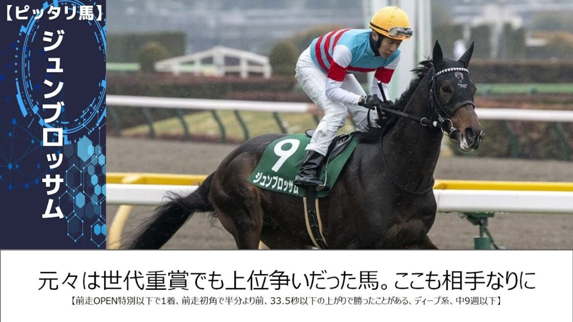 【関屋記念2024】このレースには”特徴”がある!新潟でも◯◯有利!? 【関屋記念2024】このレースには"特徴"がある!新潟でも◯◯有利!?