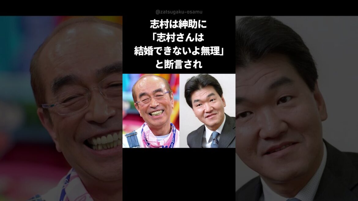 【素敵】志村けんと島田紳助の見事なやりとり #shorts #志村けん #島田紳助