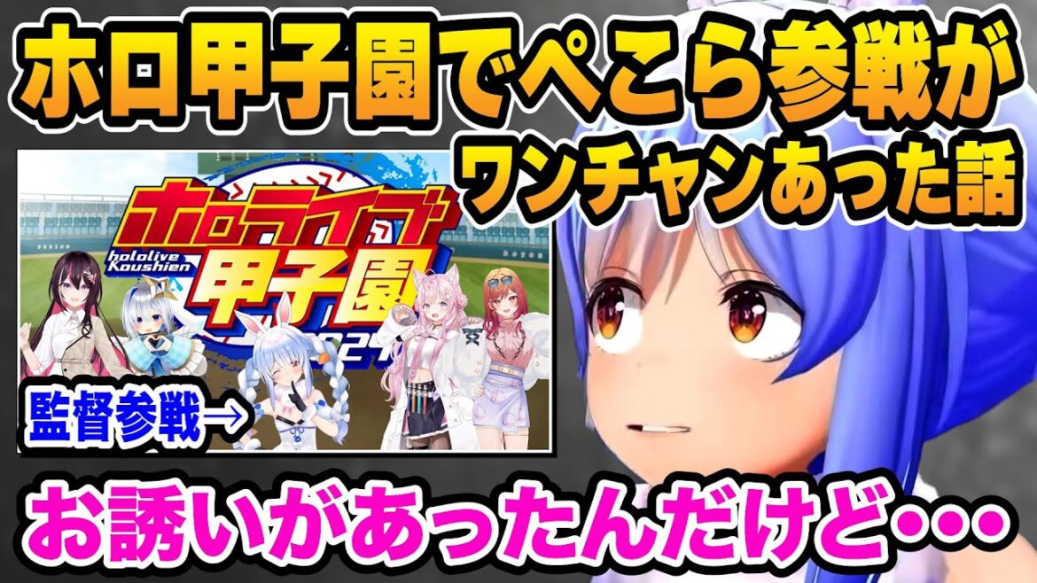 とある理由でホロライブ甲子園の参加を断った話と新作ドラクエリメイクについて話すぺこら【ホロライブ/兎田ぺこら/切り抜き】