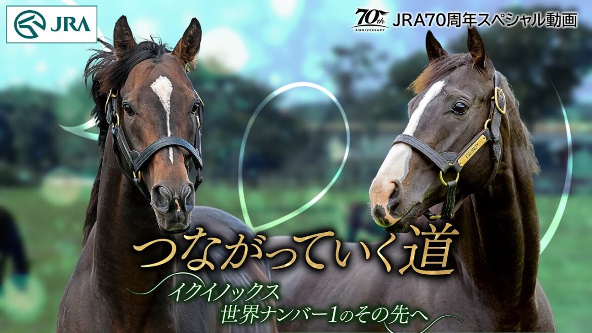 つながっていく道 〜イクイノックス 世界ナンバー1のその先へ〜 | JRA公式