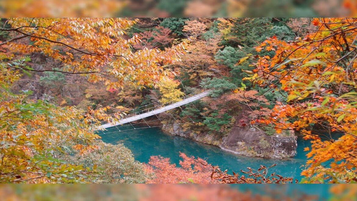 紅葉名所がピンチ！観光客が「東日本大震災 以来」の激減　町を悩ます落石・SUP事故・台風後遺症の“三重苦”