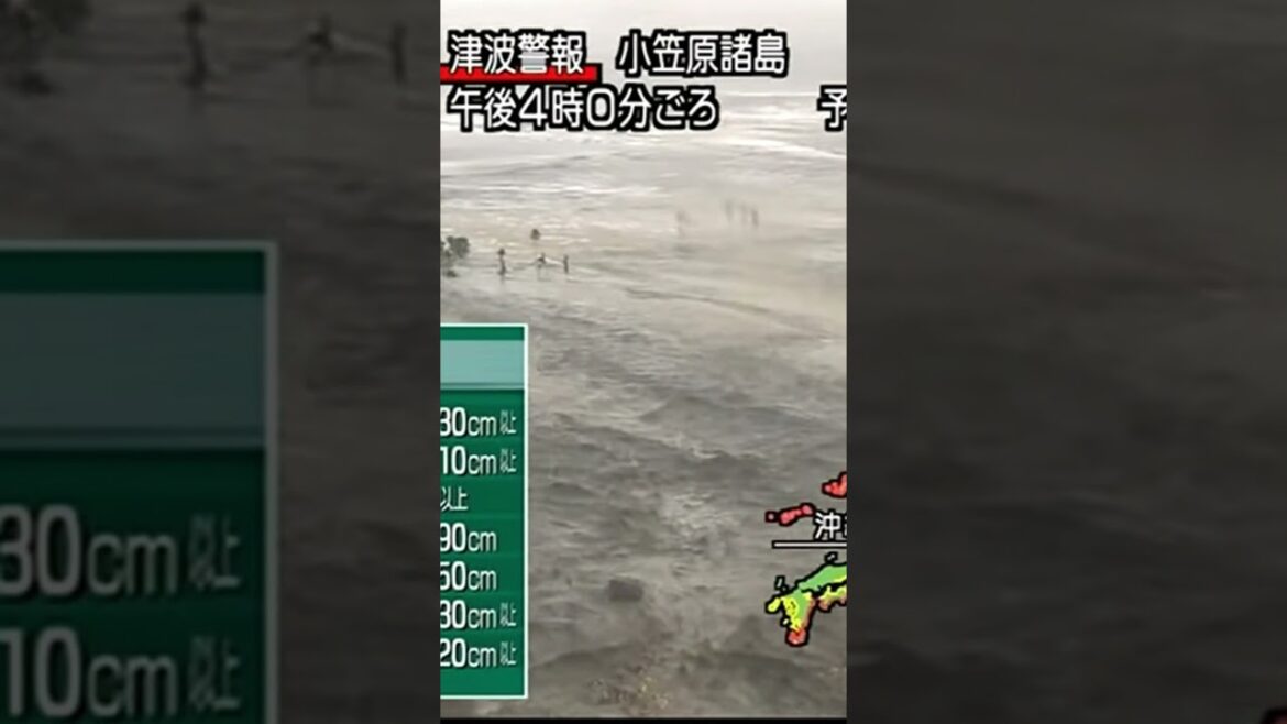 人車が飲み込まれる瞬間　東日本大震災津波地震ライブ　JAPAN earthquake TUNAMI LIVE