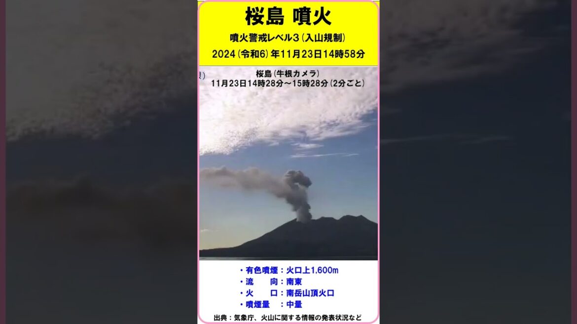 【速報　『桜島　噴火！』　有色噴煙：火口上1,600m　噴煙量：中量　噴火警戒レベル３】　2024（令和6）年11月23日14時58分　#shorts #噴火 #桜島 #噴火警戒レベル3