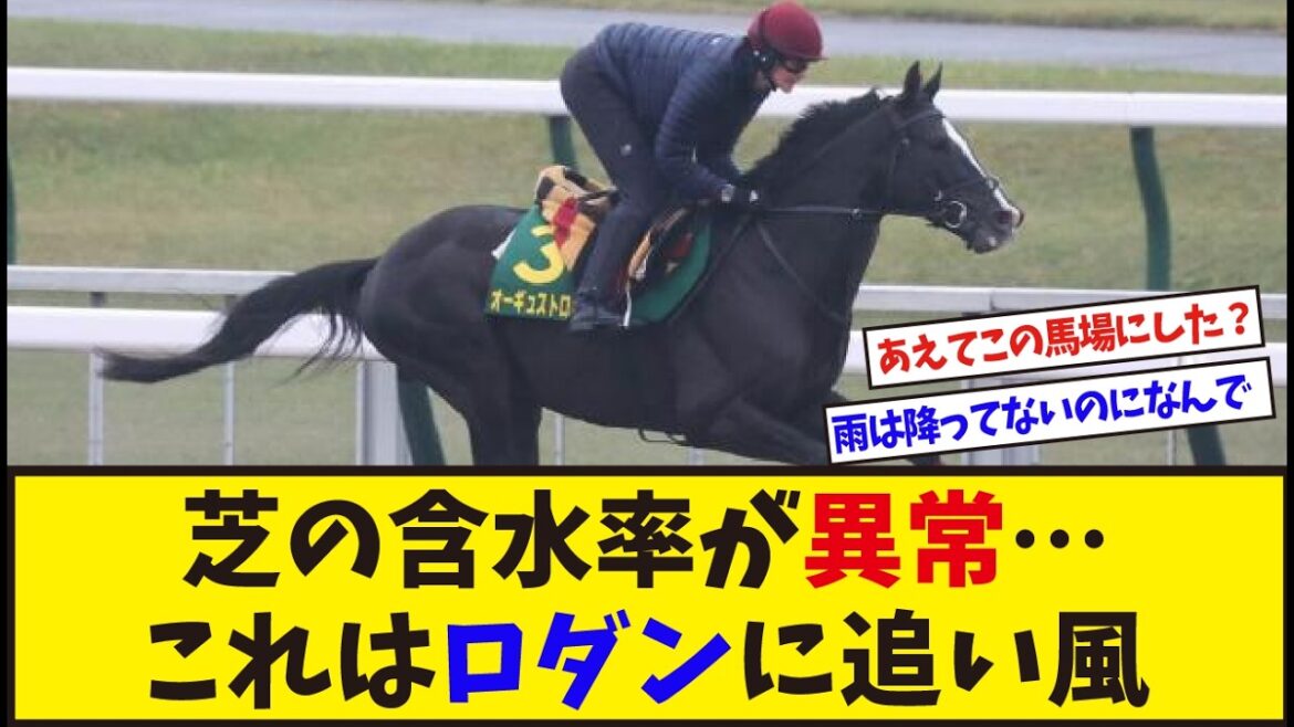 「東京競馬場の馬場、重くないか？」に対するみんなの反応集