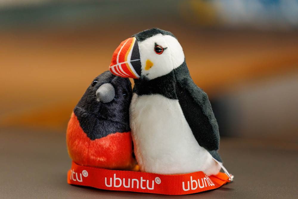 第840回 Ubuntu 20周年記念オフラインミーティング開催レポート | gihyo.jp 第840回 Ubuntu 20周年記念オフラインミーティング開催レポート | gihyo.jp