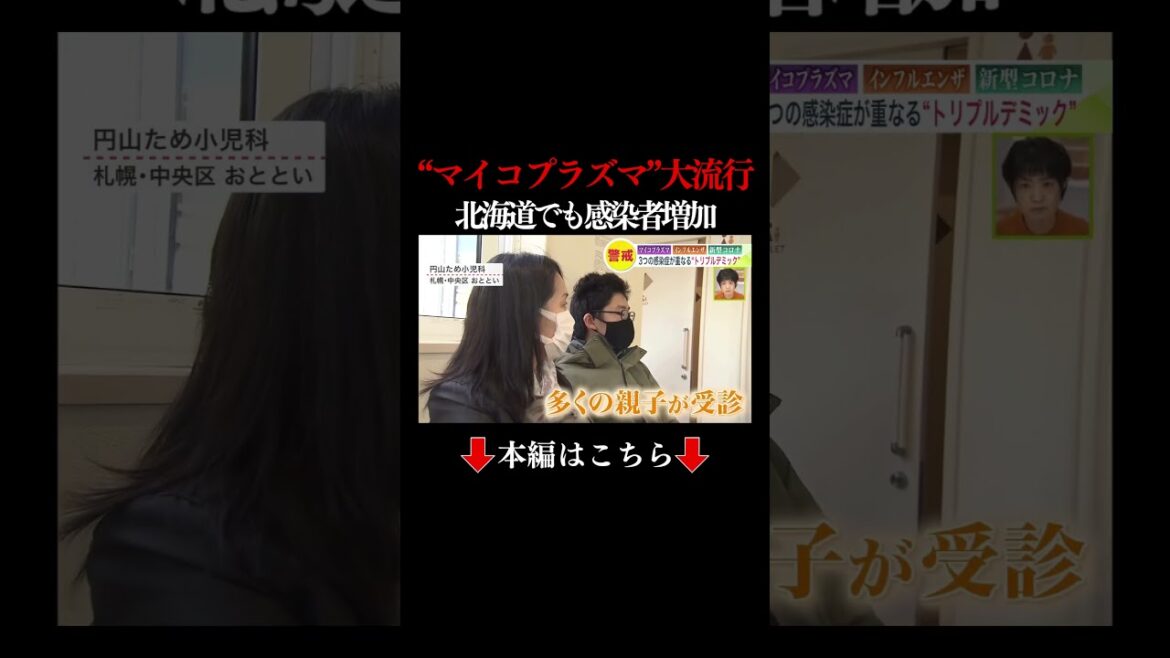 👆本編はこちら👆全国上回る感染者数の“マイコプラズマ肺炎＆インフル＆新型コロナ”乗り切るための対策は 北海道