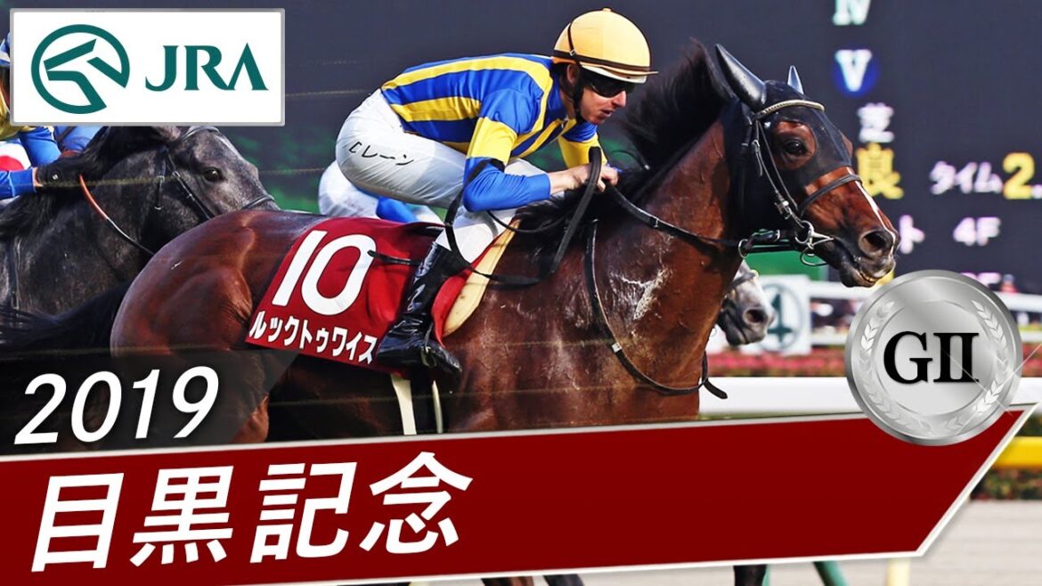 2019年 目黒記念（GⅡ） | ルックトゥワイス | JRA公式