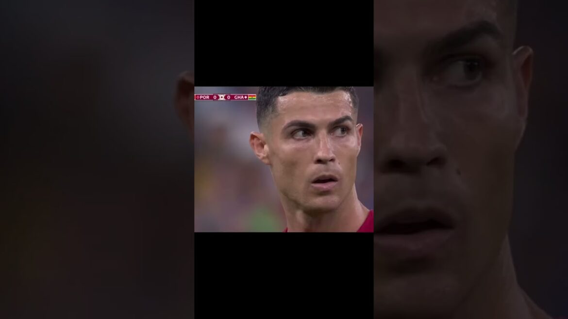 Pov: its wc 2022