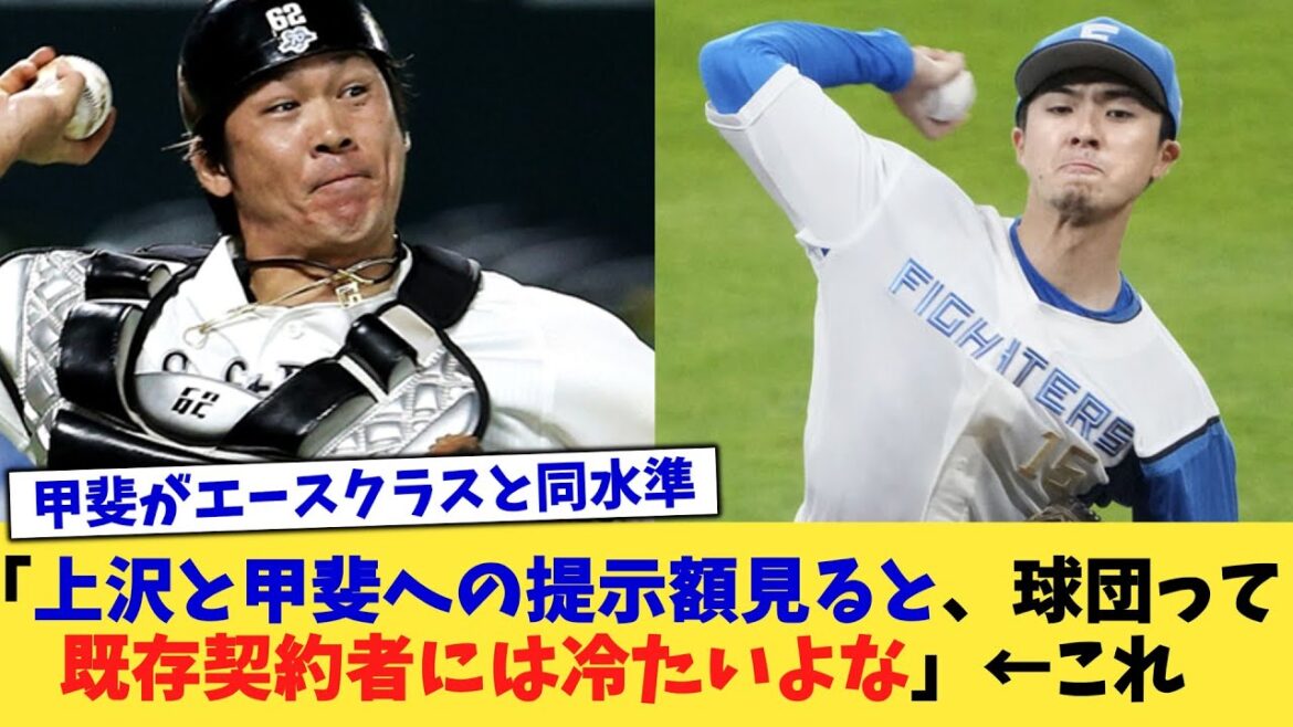 「上沢と甲斐への提示額見ると、球団って既存契約者には冷たいよな」←これ【なんJ プロ野球反応集】【2chスレ】【5chスレ】