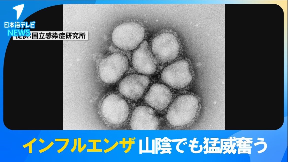 【発症すぐの検査はNG？】山陰でも猛威を奮うインフルエンザ　検査キットや治療薬の不足を危惧