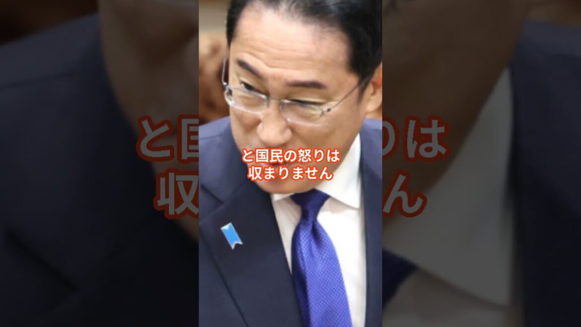 岸田文雄さん、どのツラ下げて言ってんの？ #岸田文雄 #石破茂 #shorts