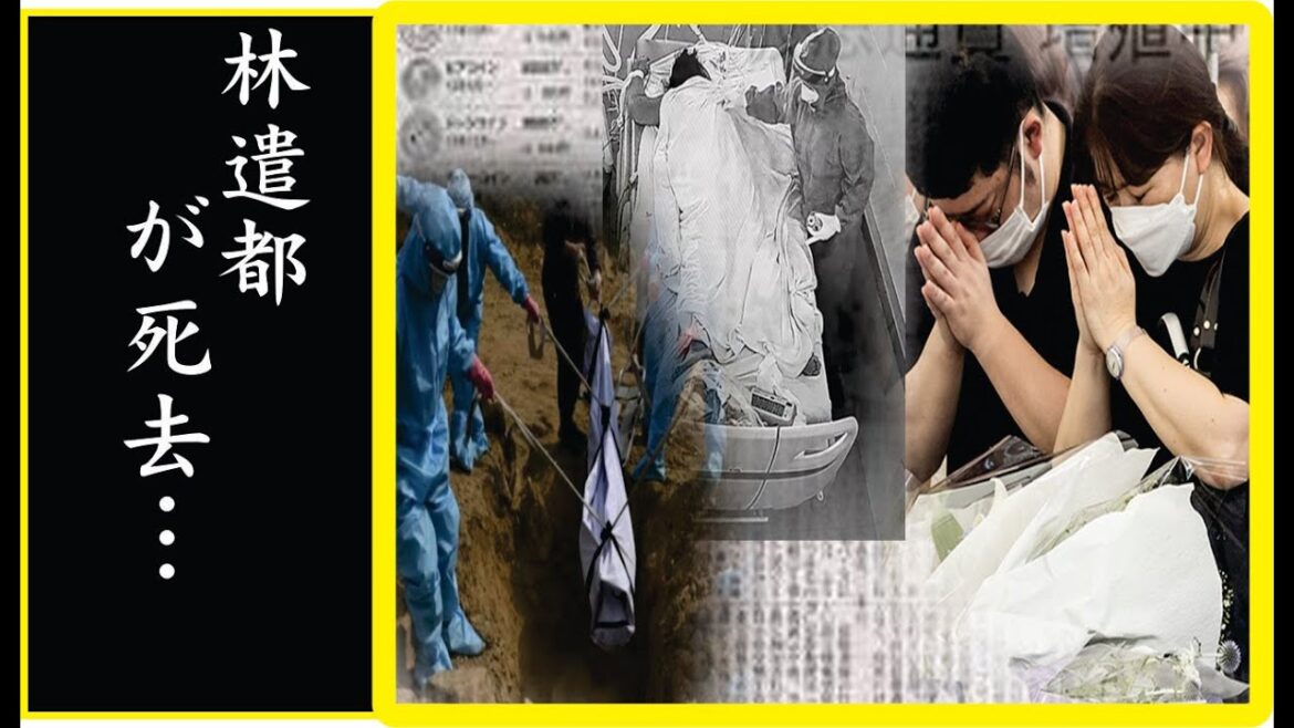 林遣都が激痩せした難病を患い闘病生活を送る現在…語った終活の内容に驚きを隠せない…