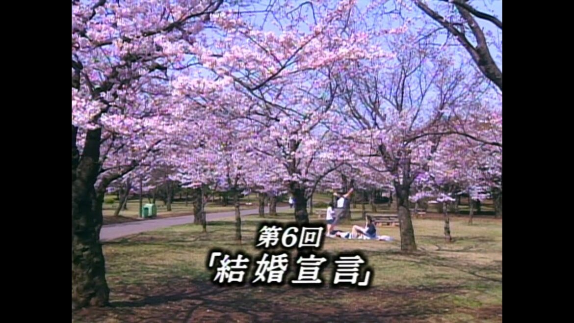 第06回 「結婚宣言」
