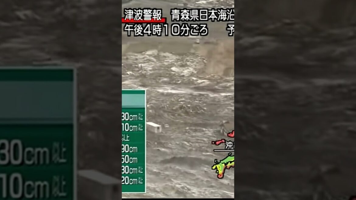 人車が飲み込まれる瞬間　東日本大震災津波地震ライブ　JAPAN earthquake TUNAMI LIVE