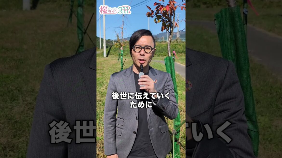 3億円以上の寄附が集まりました　 #東日本大震災 #防災 #桜ライン311