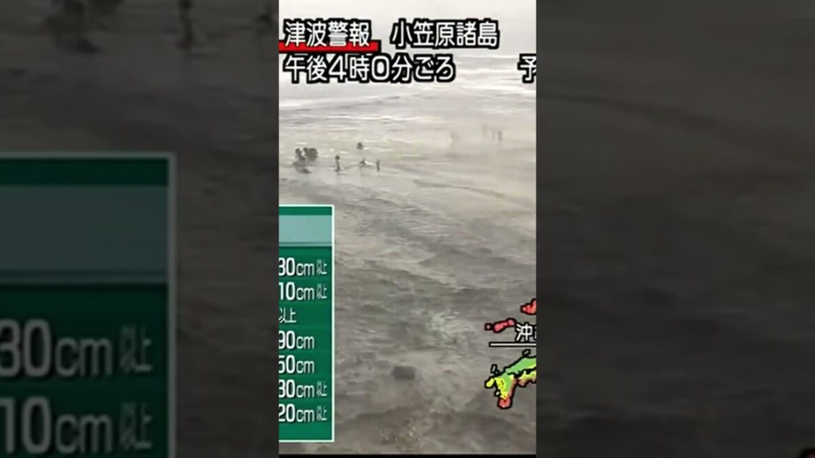 人車が飲み込まれる瞬間　東日本大震災津波地震ライブ　JAPAN earthquake TUNAMI LIVE