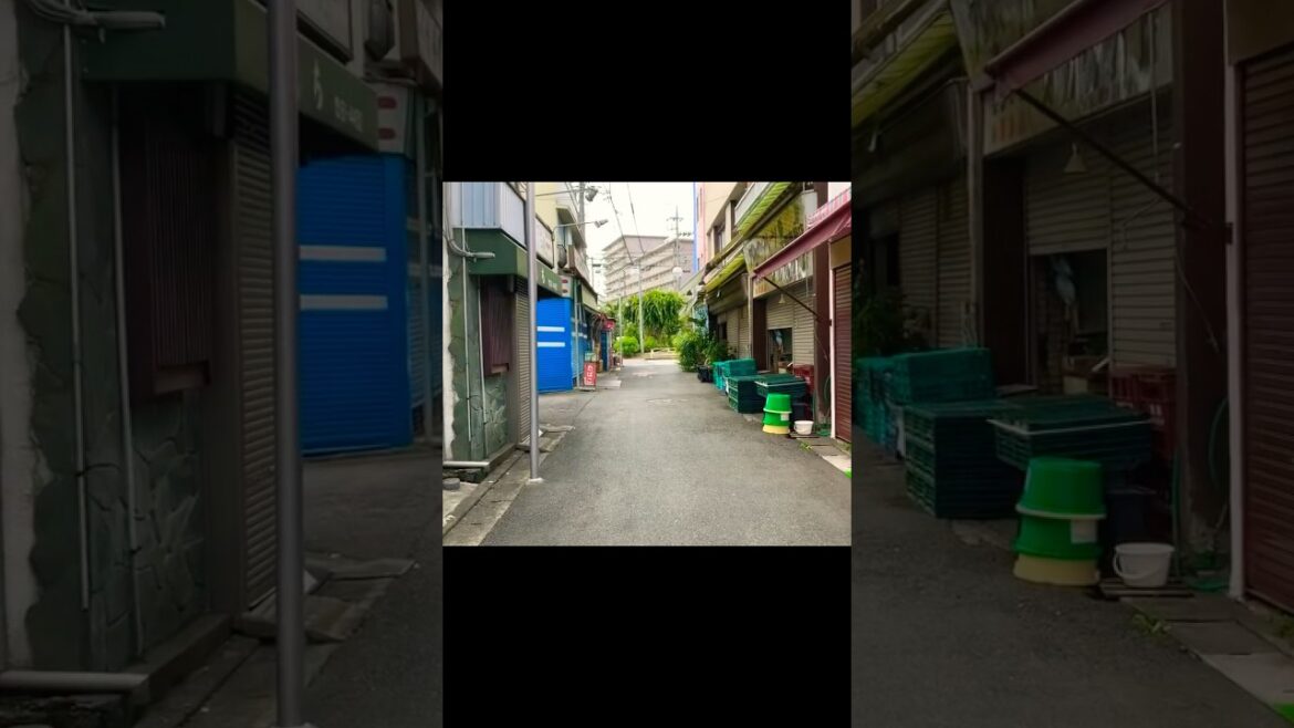 ⑨ 【新型コロナ感染者11週連続減少】緊急事態宣言下の「長房新栄商店街」を歩く【東京都では珍しいシャッター街】【新型コロナウイルス、変異株KP.3、喉の痛み、味覚障害注意】（東京都 八王子市）