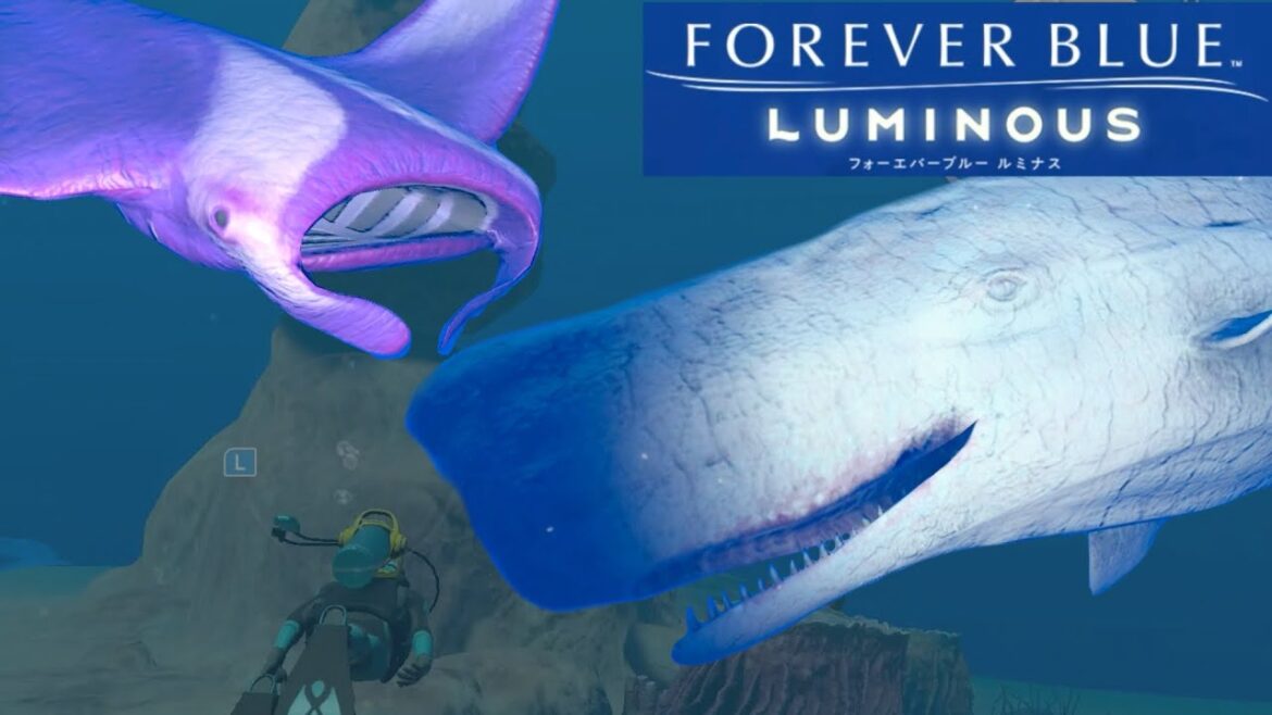 モンスター級☆変異種を見つけたぞ！！  | FOREVER BLUE LUMINOUS　フォーエバーブルー ルミナス