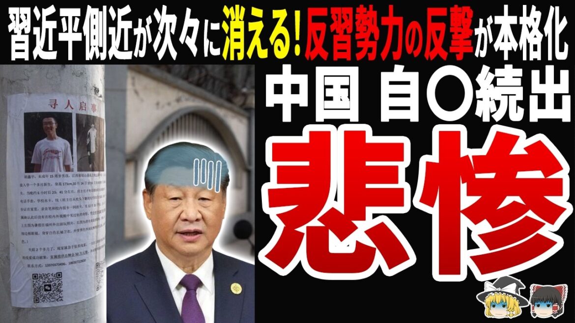 【反腐敗の末路ｗ】中国で習近平の側近が粛清!?内部抗争で体制崩壊の危機!?