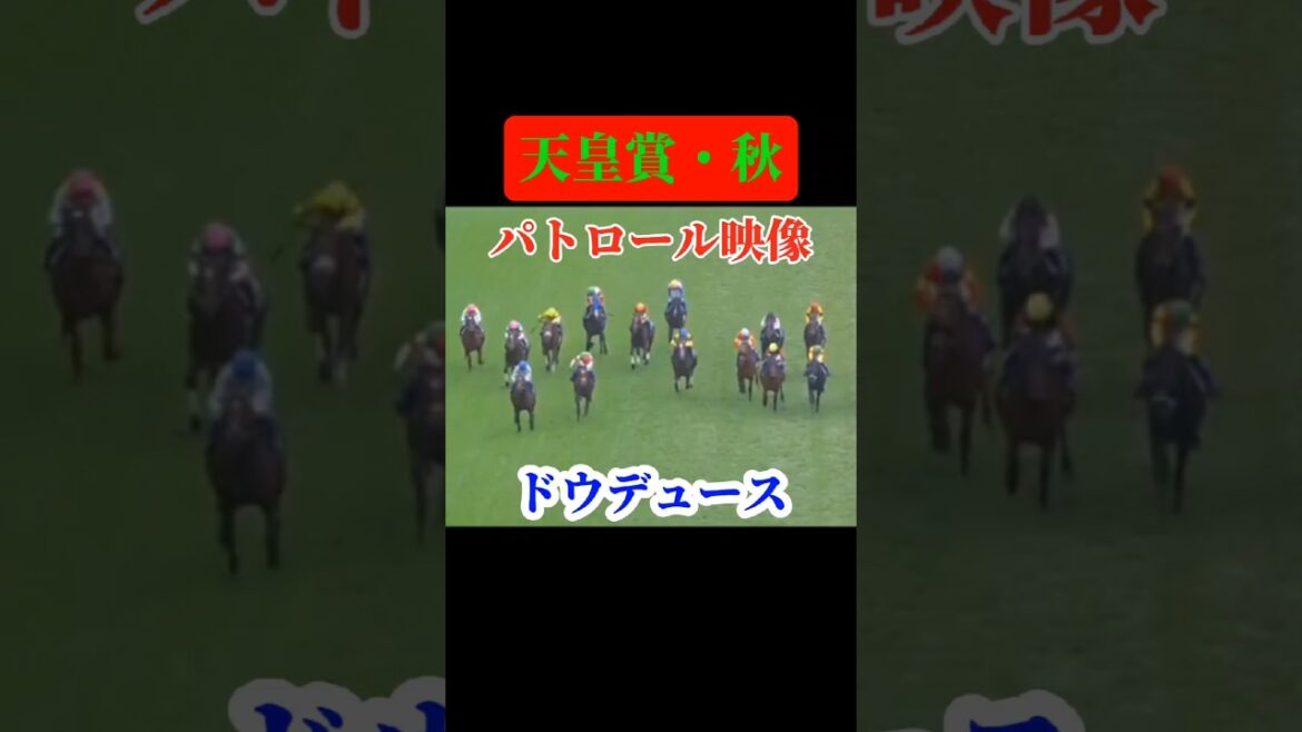 パトロールビデオ【天皇賞・秋】ドウデュースの鬼脚 #shorts