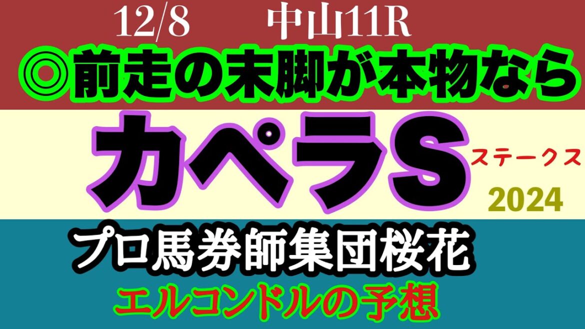 エルコンドル氏のカペラステークス2024予想！！差し馬もそれなりに揃ったがハナにこだわりたい先行馬も多い印象！？人気薄の馬の末脚が炸裂するか！